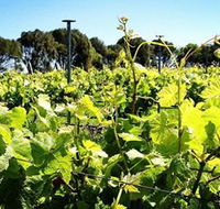 Basalt Wines - Accommodation Whitsundays