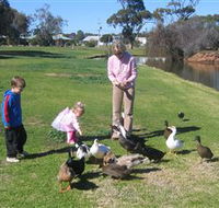 Roy Little Park Merredin - Accommodation Whitsundays