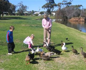Roy Little Park Merredin - Accommodation Whitsundays 0