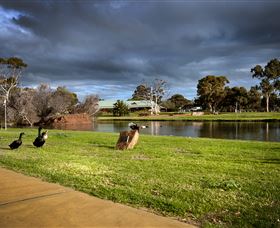 Roy Little Park Merredin - Accommodation Whitsundays 2