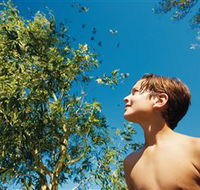 Bushwalking on Keswick Island - Accommodation Whitsundays