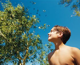 Bushwalking On Keswick Island - Accommodation Whitsundays 0