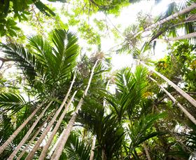 Bushwalking On Keswick Island - Accommodation Whitsundays 1