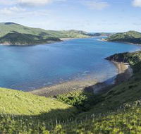 The Cremer Shipwreck Dive Site - Keswick Island - Accommodation Whitsundays