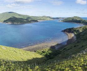 The Cremer Shipwreck Dive Site - Keswick Island - Accommodation Whitsundays 0
