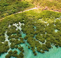 The Singapore Shipwreck Dive Site - Keswick Island - Accommodation Whitsundays
