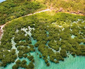 The Singapore Shipwreck Dive Site - Keswick Island - Accommodation Whitsundays 0