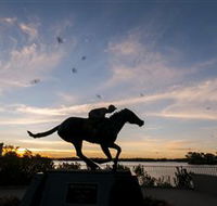 Black Caviar Statue - Accommodation Whitsundays