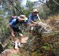 Mount Arthur Reserve - Accommodation Whitsundays
