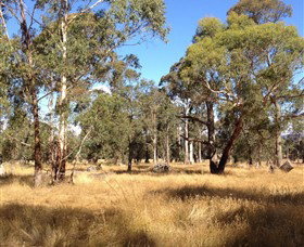 Paramoor Winery - Accommodation Whitsundays 4