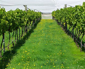 Paramoor Winery - Accommodation Whitsundays 6