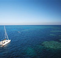 Bait Reef and Garys Lagoon Dive Site - Accommodation Whitsundays