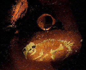 Wellington Caves And Phosphate Mine - Accommodation Whitsundays 2