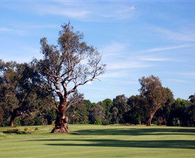 Corowa Golf Club - Accommodation Whitsundays 5