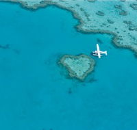 Great Barrier Reef - Whitsundays - Accommodation Whitsundays