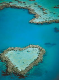 Heart Reef - Accommodation Whitsundays 3