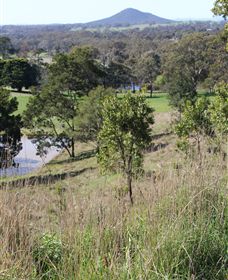Mt Piper Nature Conservation Reserve - Accommodation Whitsundays 1