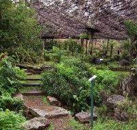Burrendong Botanic Garden and Arboretum - Accommodation Whitsundays