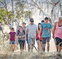 Winton Wetlands Reserve - Accommodation Whitsundays