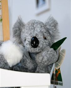 Timboon West VIC Accommodation Whitsundays