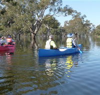Doodle Cooma Swamp - Accommodation Whitsundays