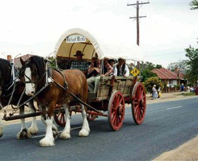 The Trek Wagon Walla Walla - Accommodation Whitsundays 1