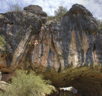 Borenore Karst Conservation Reserve - Accommodation Whitsundays