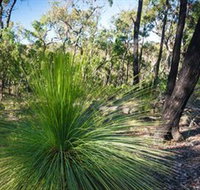 Brisbane Ranges National Park - Accommodation Whitsundays
