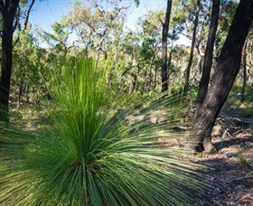 Brisbane Ranges National Park - Accommodation Whitsundays 0