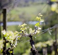 Lethbridge Wines - Accommodation Whitsundays