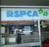 R.S.P.C.A Opportunity Shop - Accommodation Whitsundays