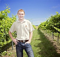 Stockmans Ridge Wines - Accommodation Whitsundays