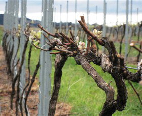 Stockmans Ridge Wines - Accommodation Whitsundays 1