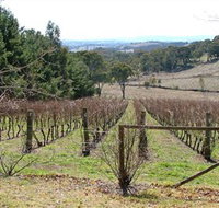 Habitat Vineyard - Accommodation Whitsundays