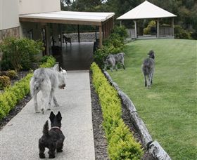 Otway Estate - Accommodation Whitsundays 5