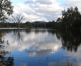 Wonga Wetlands - Accommodation Whitsundays 1