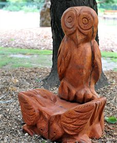 Albury Botanic Gardens - Accommodation Whitsundays 7