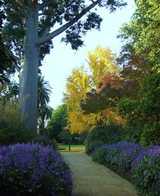 Albury Botanic Gardens - Accommodation Whitsundays 4