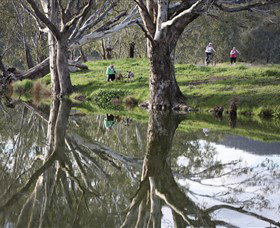 Wagirra Trail And Yindyamarra Sculpture Walk - Accommodation Whitsundays 1