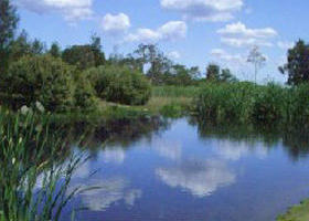 Yan Yean ACT Accommodation Whitsundays