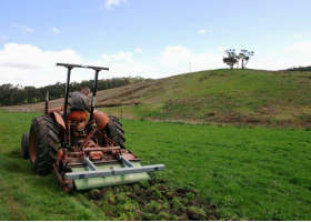 Hare Krishna Valley - Accommodation Whitsundays 3