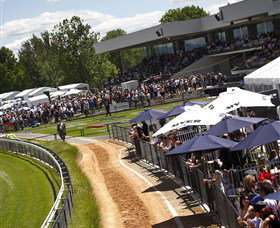 Thoroughbred Park Canberra Racing Club - Horse Racing In The Nations Capital - Accommodation Whitsundays 0