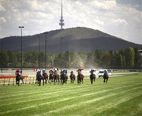 Thoroughbred Park Canberra Racing Club - Horse Racing In The Nations Capital - Accommodation Whitsundays 3