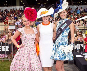Thoroughbred Park Canberra Racing Club - Horse Racing In The Nations Capital - Accommodation Whitsundays 2