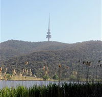 Black Mountain Peninsula - Accommodation Whitsundays