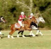 Morgan Park Warwick - Accommodation Whitsundays