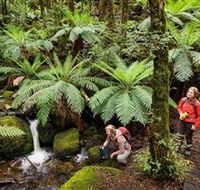 Baw Baw National Park - Accommodation Whitsundays