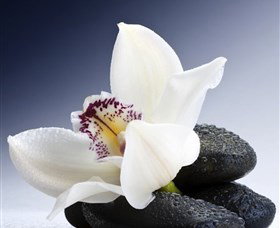 H2O Spa - Accommodation Whitsundays 1