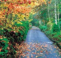 Mount Wilson and Mount Irvine - Accommodation Whitsundays