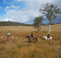 Chapman Valley Horse Riding - Accommodation Whitsundays